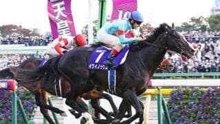 【天皇賞・秋／データ攻略】イクイノックスとプログノーシスの「100 or 0％」　人気馬2頭の明暗とは