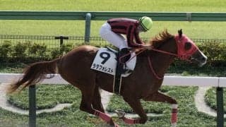 【新馬/東京4R】パイロ産駒 ラタフォレストが7馬身差圧勝
