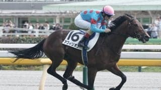 【新馬/東京5R】サトノダイヤモンド産駒 アフィリオンが鮮やかに逃げ切る