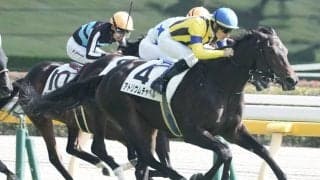 【新馬/東京6R】ドレフォン産駒 アトリウムチャペルが断然人気に応える