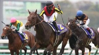 2億円超えのドゥラメンテ産駒が初陣 血の勢い武器に新星GI馬候補となるか