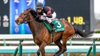 メジロドーベルの孫ホウオウイクセルが引退 今後はレイクヴィラFで繁殖牝馬に