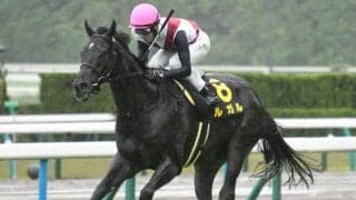 【スワンS予想】過去2年とは傾向が変わる!? 3年ぶりの京都開催で狙える馬とは