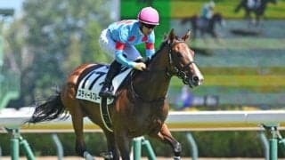 【アルテミスS予想】近年は多数のGI馬を送り出す出世レース！ 高い素質を備えている事が上位争いの鍵