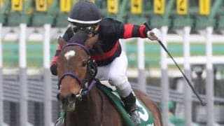 ホウオウイクセルが競走馬登録抹消