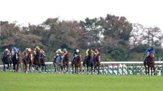 なぜ天皇賞だけが春秋2回なの？ 100年超える“伝統の一戦”の不思議とは