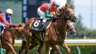 【京王杯2歳S想定馬・騎手】コラソンビート、アスクワンタイムなど12頭