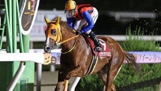 【園田・兵庫クイーンC結果】金沢のハクサンアマゾネスが勝ち、重賞19勝目を挙げる