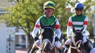 【みやこS想定馬・騎手】セラフィックコール、ワールドタキオンなど17頭