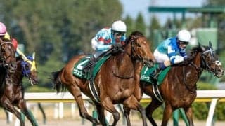 【今日の注目ポイント】東京で2歳牝馬の出世レース・アルテミスS、京都ではスワンS