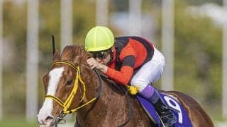 天皇賞・秋は世界最強馬が参戦　穴党記者が狙うのはオイシイ配当が見込めるＧＩ馬、ＧＩ好走馬