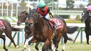 【スワンS予想】距離実績が勝負を分けるマイルCSへの前哨戦