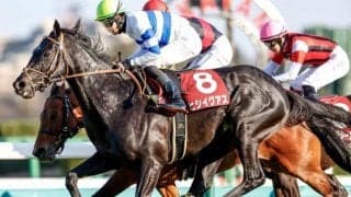 【天皇賞(秋)予想】波乱の立役者は4歳じゃない!? 最強世代に割って入る敗戦理由が明確な実力馬