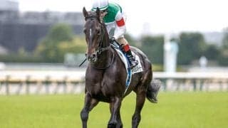 スキルヴィング半妹がルメール騎手でデビュー 名牝系出身のキズナ産駒