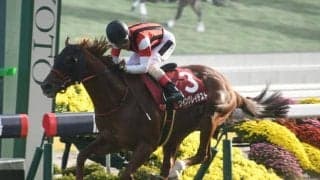 【スワンS結果】ウイングレイテストが6歳にして初重賞制覇！