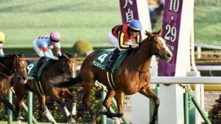 【アルテミスS】チェルヴィニアが重賞初制覇…ルメール騎手は本日4勝目