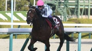 【天皇賞(秋)予想】両雄並び立たず!? 秋の盾争奪戦に波乱を起こす臨戦過程の狂い