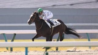 【京都2R】武豊騎乗、トッピゴーが人気に応える