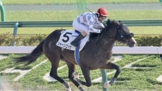 【東京7R】ルメール「強かった」シャーンゴッセが初勝利…3歳未勝利馬が1勝クラス1番人気で快勝