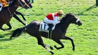 【新馬/東京5R】2億円ホース、ショウナンラピダスがデビュー戦快勝