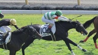 【新馬/東京4R】キズナ産駒 ジークルーネがデビューV…ダービーで急死スキルヴィングの半妹