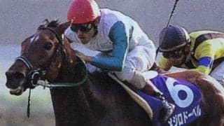 名牝メジロドーベルの血が騒ぐか 良血ドレフォン産駒が初陣V狙う