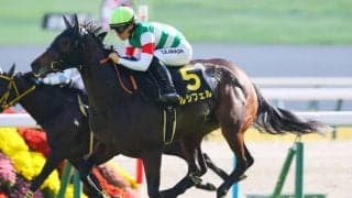 【萩S】ハーツクライ産駒 ルシフェルが2連勝