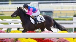 【新馬/京都4R】ダノンレジェンド産駒 メイショウザンゲツがデビューV