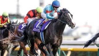 【天皇賞(秋)予想】総合力問われる秋の盾 2強対決の行方はいかに…