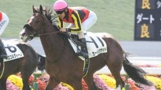 【京都5R新馬戦結果】サトノダイヤモンド産駒カーメルタザイトが人気に応えてV