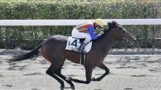 【新馬/東京4R】3連単332万円の大波乱！アースイオスが6馬身差圧勝