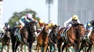 【天皇賞(秋)・馬体重】イクイノックスは494kg(+2)、ドウデュースは512kg(+4)