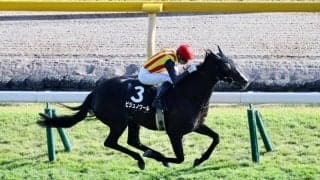 【国立特別】モレイラ騎乗、ビジュノワールが逃げ切り…チアチアクラシカは直線で故障