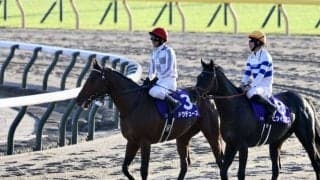 【天皇賞・秋】代打騎乗、戸崎圭太ドウデュースは7着に敗退…武豊からの乗り替わり