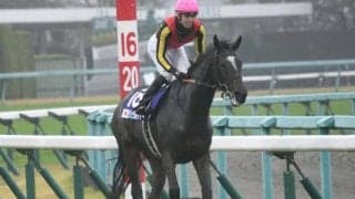 【エリザベス女王杯】ジェラルディーナ、ブレイディヴェーグらが登録