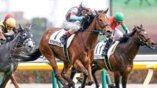 チアチアクラシカが予後不良 東京9R・国立特別に出走