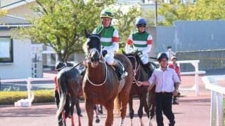 【みやこS】セラフィックコール、ワールドタキオンらが登録