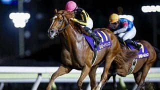 【大井・ハイセイコー記念枠順】ゴールドジュニアを制したクルマトラサンは6枠6番、無傷4連勝中のダテノショウグンは8枠11番