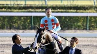 WIN5は356万円超の払戻し…天皇賞・秋はイクイノックスが圧勝