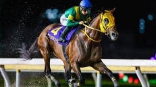 JRAではAR共和国杯など4重賞 ダートの祭典JBCと米BCも開催/今週の競馬界の見どころ