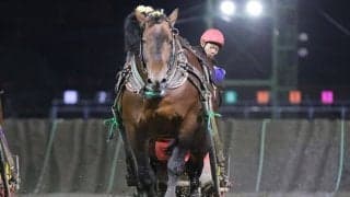 【ばんえい・北見記念】アオノブラックが3連覇…金田利「最後は辛そうだったが頑張ってくれた」