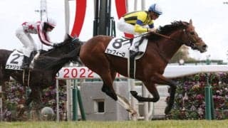 【アルゼンチン共和国杯登録馬】ゼッフィーロなど22頭