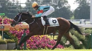 【ファンタジーS登録馬】シュークリームなど19頭