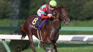 【大井・JBCスプリント枠順】重賞連勝中のリメイクは6枠11番、連覇かかるダンシングプリンスは8枠15番