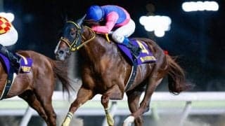 【大井・JBCクラシック枠順】JpnI・3勝馬メイショウハリオは7枠7番、重賞3連勝中のウィルソンテソーロは5枠5番