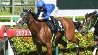 【ファンタジーS見どころ】ブリックスアンドモルタル産駒クイックバイオの3連勝なるか