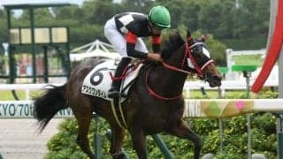 【京王杯2歳S見どころ】アスクワンタイムが2重賞連続の兄弟制覇を狙う