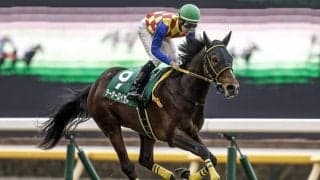 【アルゼンチン共和国杯見どころ】テーオーロイヤルが11か月ぶりに復帰 重賞2勝目なるか