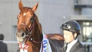 【スワンS】売上は39億9244万6500円で昨年より約2億円減少