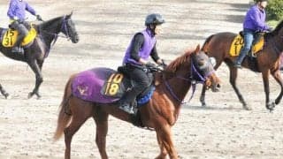 1億超で落札された米国産馬が初陣 全兄に米G1馬持つアッシュルバニパル/関東馬メイクデビュー情報
